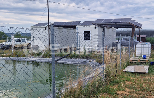 从柴油到光伏：罗马尼亚蓝莓农场的节能蜕变