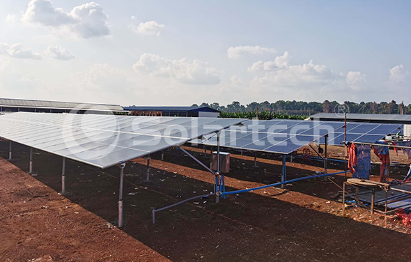 老挝香蕉农场主告别用电荒，光伏加市电双保险稳供灌溉